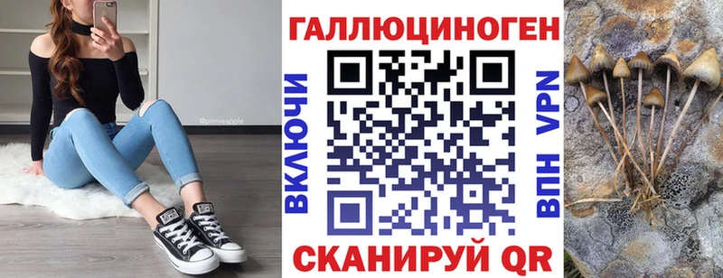 kraken ССЫЛКА  как найти наркотики  это наркотические препараты  Галлюциногенные грибы Magic Shrooms  Шацк 